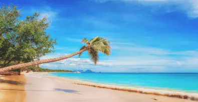 beach-2528635_1280